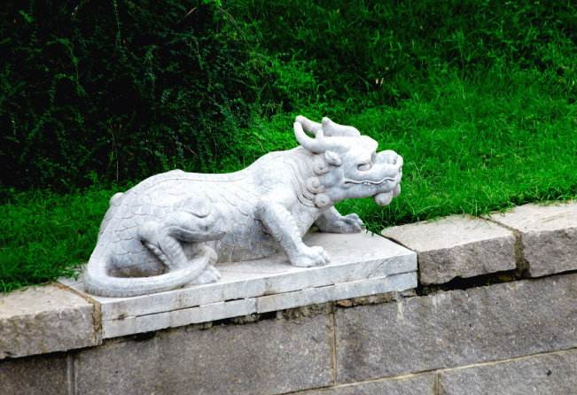 北京外国ykifh) X