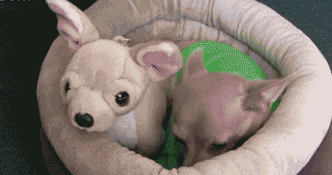 对不起,您的智商已欠费停机.