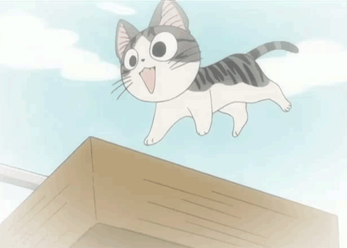 起司猫真猫版来啦!