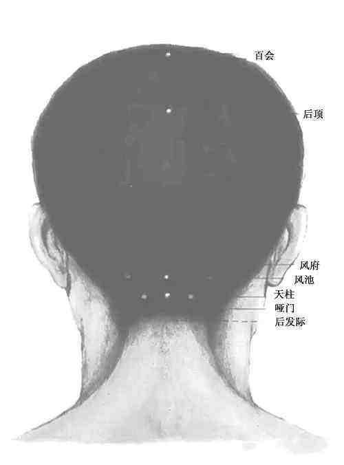 后脑勺有这么个"地方,每天摸一摸,补肾效果非常好!