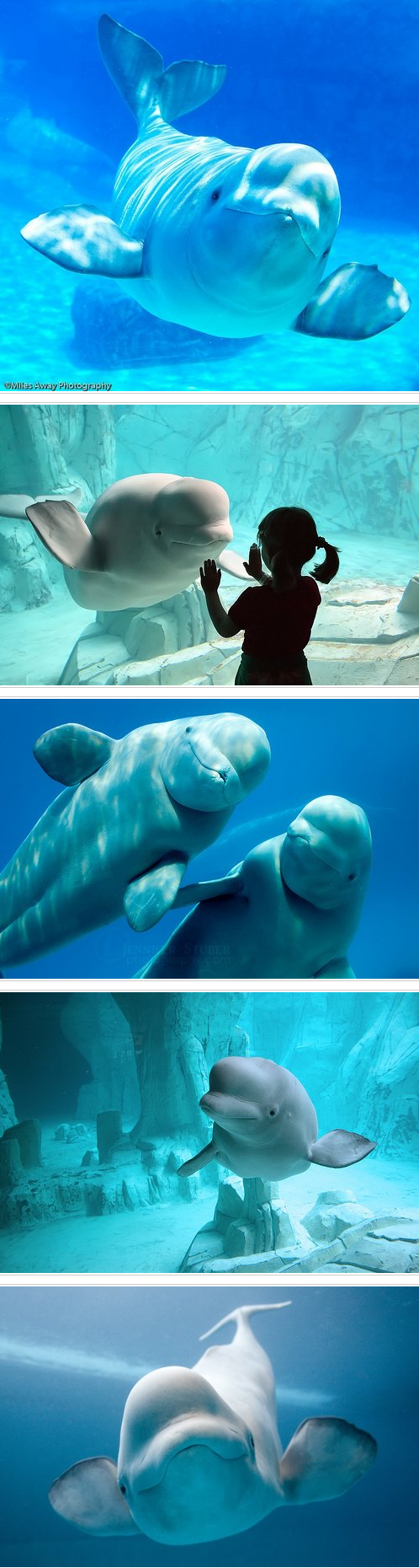 海底世界真奇妙啊