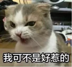 悲伤辣么大,快来抱抱我!
