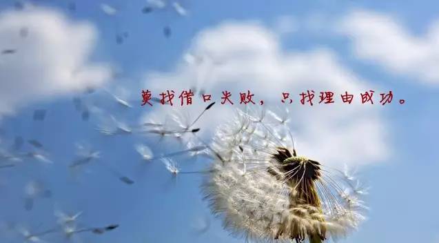 莫找借口失败,只找理由成功