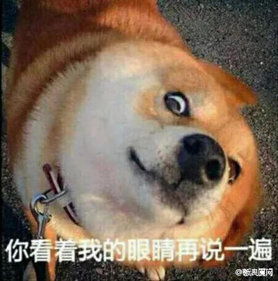 这个死也截不出表情包的女星,遇到缺心眼郑恺,就哭了
