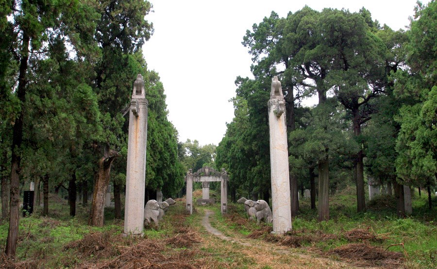 为什么孔圣人的孔庙乌鸦满天飞经过孔林却都绕着飞