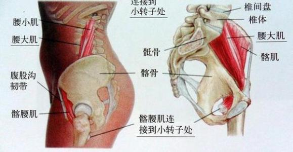 又分为根性和干性坐骨神经痛,分别指受压部位是在神经根还是在神经干