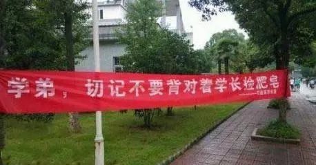 学校迎新生的横幅,中国好学长!