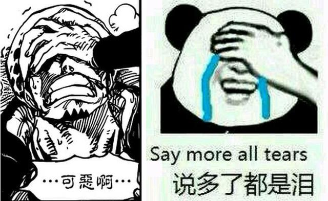总之,跟路飞在一起就是个坑,说多了,都是泪啊.