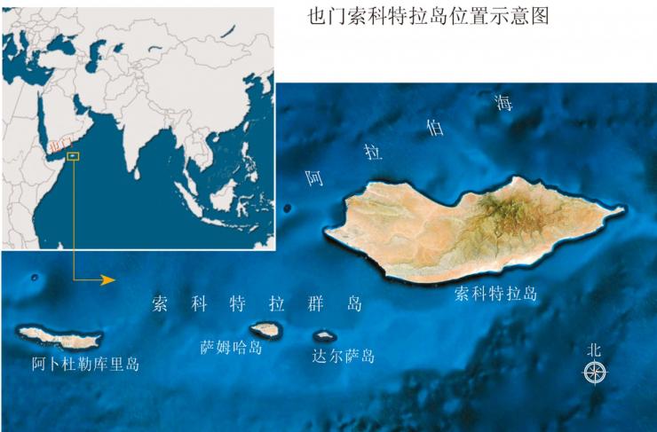 5倍.索科特拉岛不仅是也门的最大岛,同时也是阿拉伯世界第一大岛.