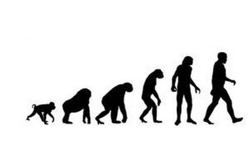人类起源之谜 人类进化过程简易图