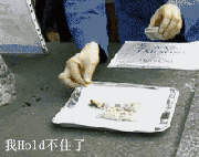 这个实验叫法老之蛇,外号应该是翔的崛起.
