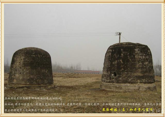 雍正葬在清西陵,他的贵人为何葬入清东陵,而且在苏麻喇姑的陵园内