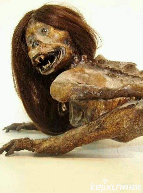 黑鳞鲛人真的存在吗弗拉特伍兹怪物吓呆众人