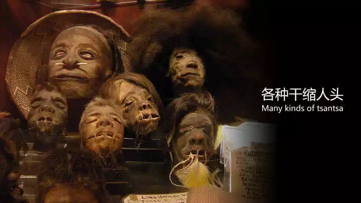 欧洲人的操蛋行为不仅在南美刮起了一股猎头风俗,在太平洋地区也一样