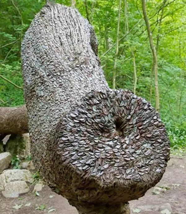 奇闻!英国现"摇钱树",树上满满的全是硬币