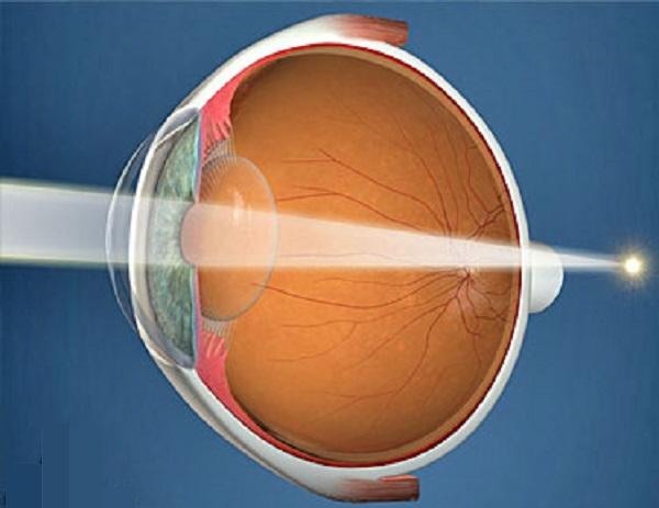 Fg_EhQ08I7hCYPfumLcrHP7Z1yZl