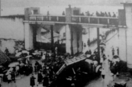 揭秘中国八三年蛇灾,真相让你意外!