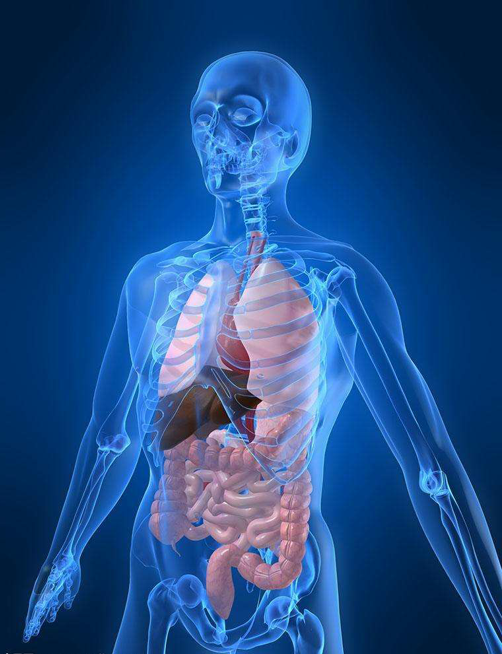 少女拥有神奇透视眼能看清内脏!身体的任何疾病都逃不过她的眼睛