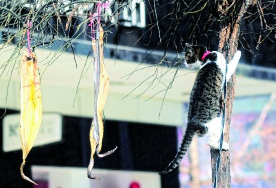 广州七大灵异事件地点排行榜