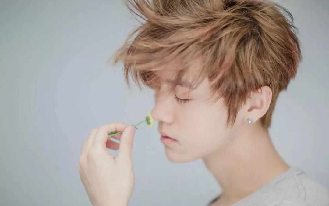 今年春晚请哪些明星?观众呼声最高的还是这几