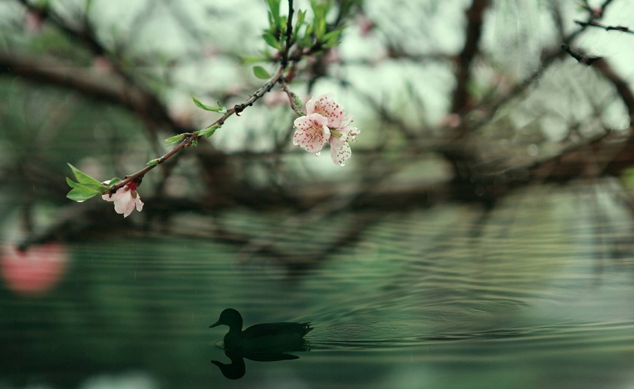 春诗十六首:最古的诗,四个字就把春天写绝了