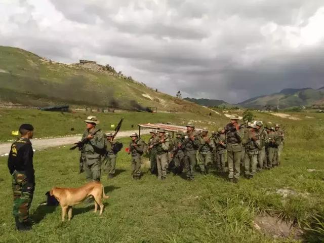 残酷的猎人学校,一天一餐饭要让狗先吃,受不