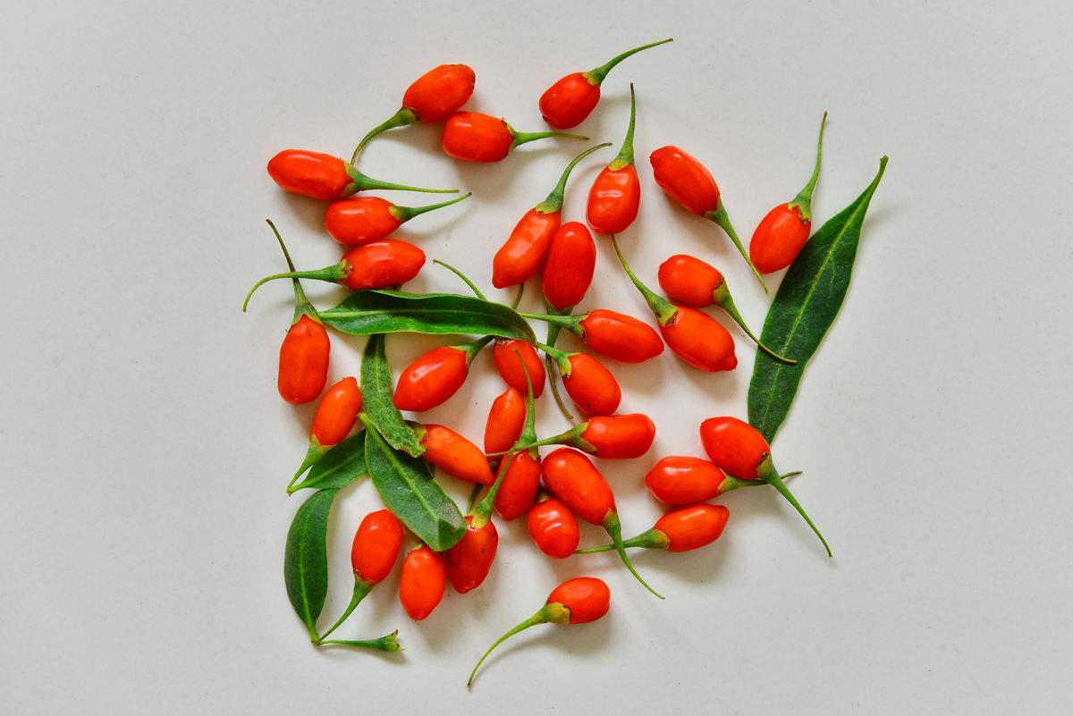 枸杞是泡水喝好,还是直接吃比较好?终于有正确