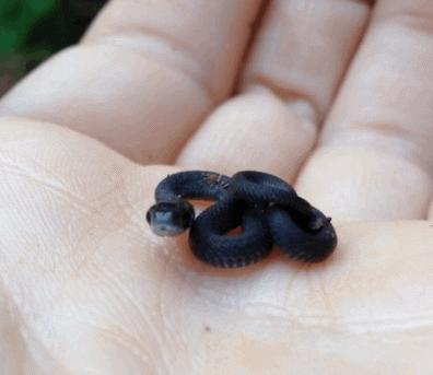 396_343gif 动态图 动图