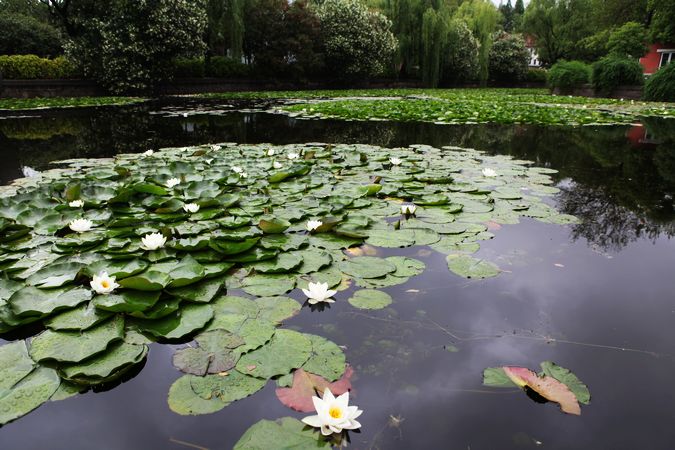 广州七大灵异事件地点排行榜
