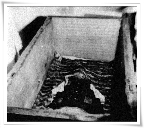 38岁的光绪比73岁的慈禧早死一天真凶究竟是谁