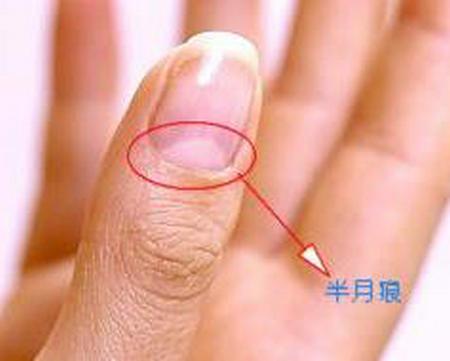 指甲上的小月牙能够反映健康?别再自己吓自己了!