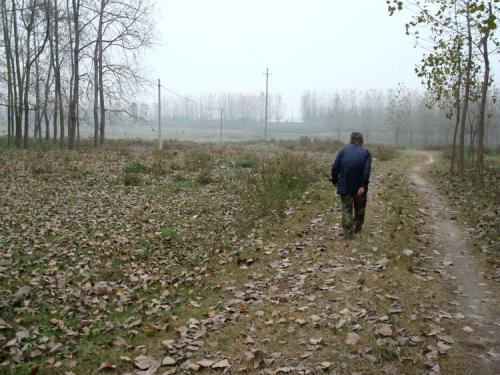 ����20�겻�飬�Ϻ�������ڣ�����˵�����ҵģ�ȴ��֪���й���