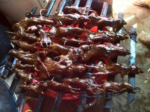 吃肉能理解可当老鼠被烧出五六种花样你还下得了口吗