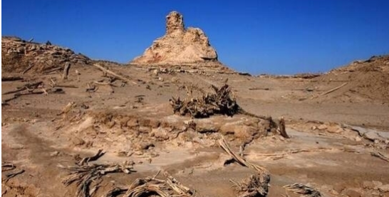 为揭开罗布泊之谜,古往今来,无数探险者舍生忘死深入其中,不乏悲壮的