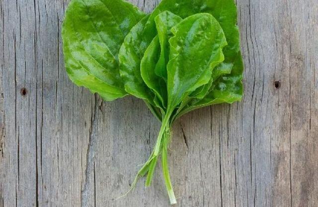 妇科炎症老是招惹你?平常少做4件事,远离炎