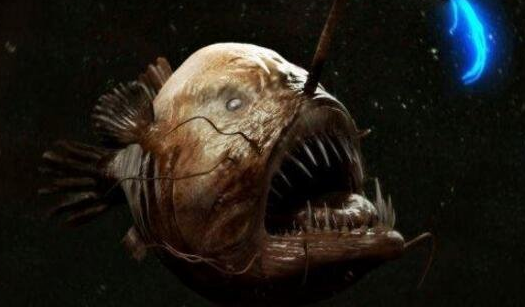 ΰ,ֺ