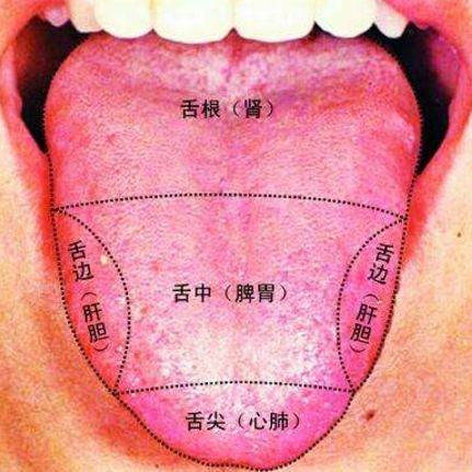 舌头底下有 青筋,暗示身体疾病?大部分人不知