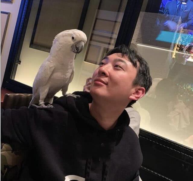 杨幂晒照秀腿，王思聪对杨幂态度发生转变，留言回复:我买了!